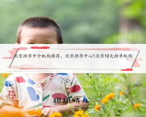 北京助孕中介机构推荐，北京助孕中心!北京10大助孕机构